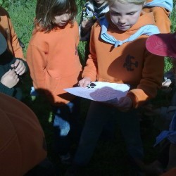 52010578 - Scouts en Gidsen Zaventem 
